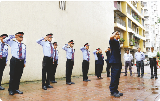 Saluting Guards